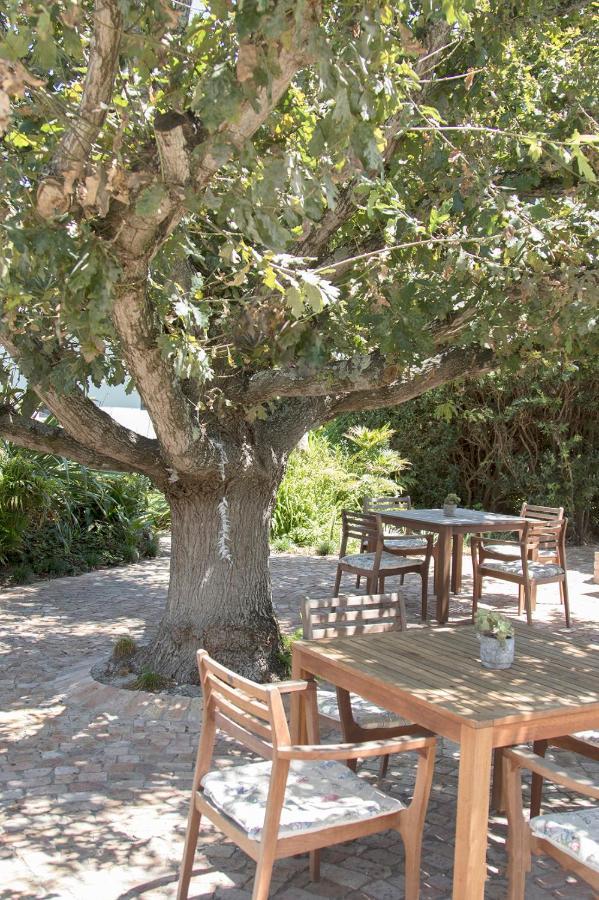 Pat'S Place Hermanus Dış mekan fotoğraf